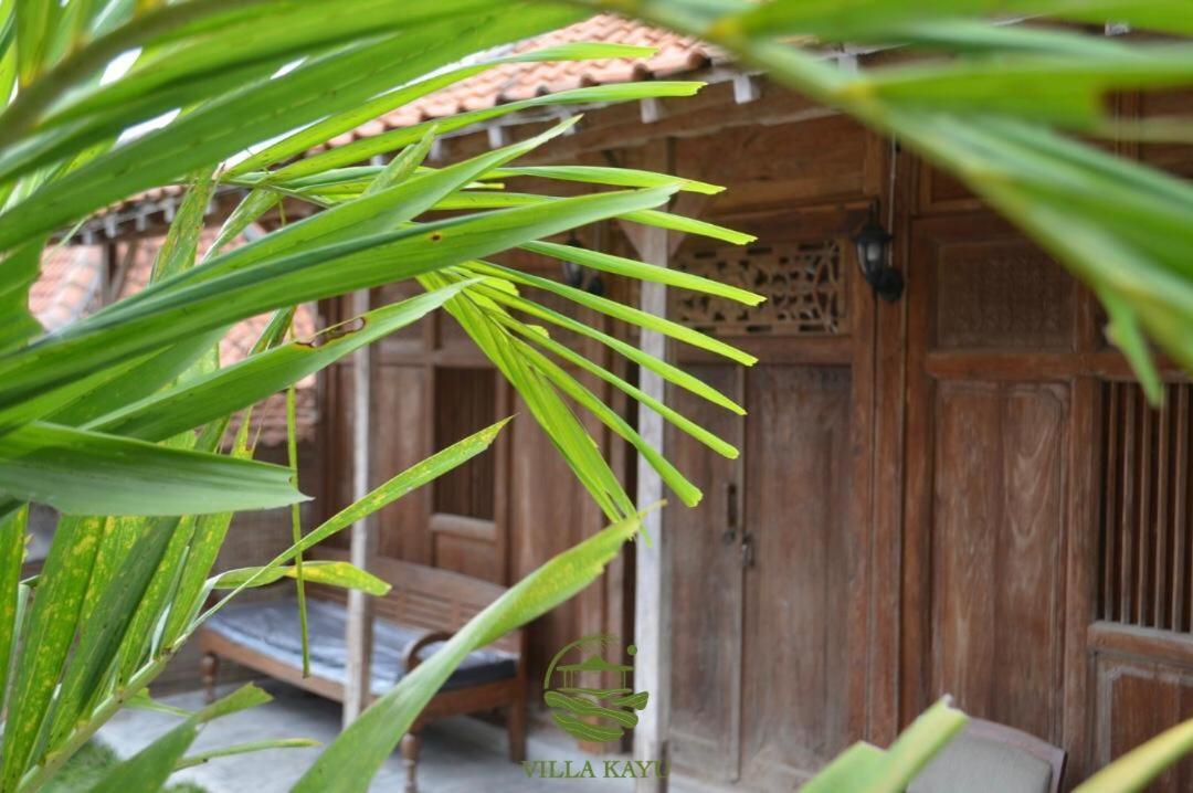 Villa Kayu ジョグジャカルタ エクステリア 写真