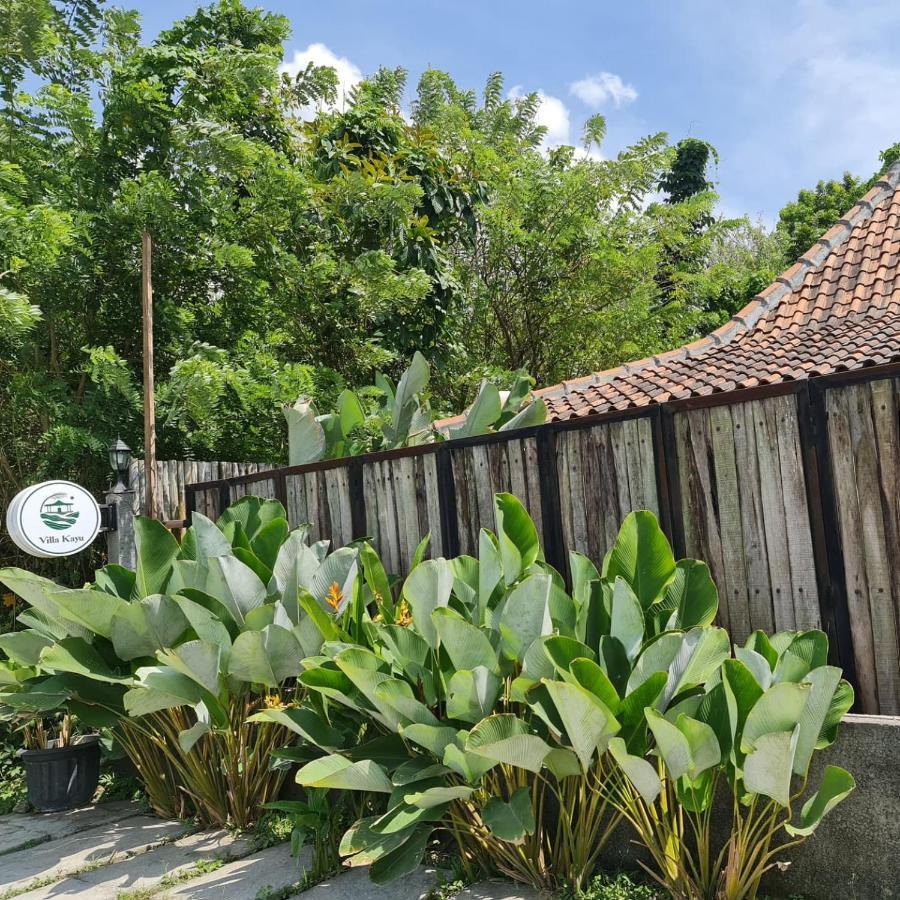 Villa Kayu ジョグジャカルタ エクステリア 写真