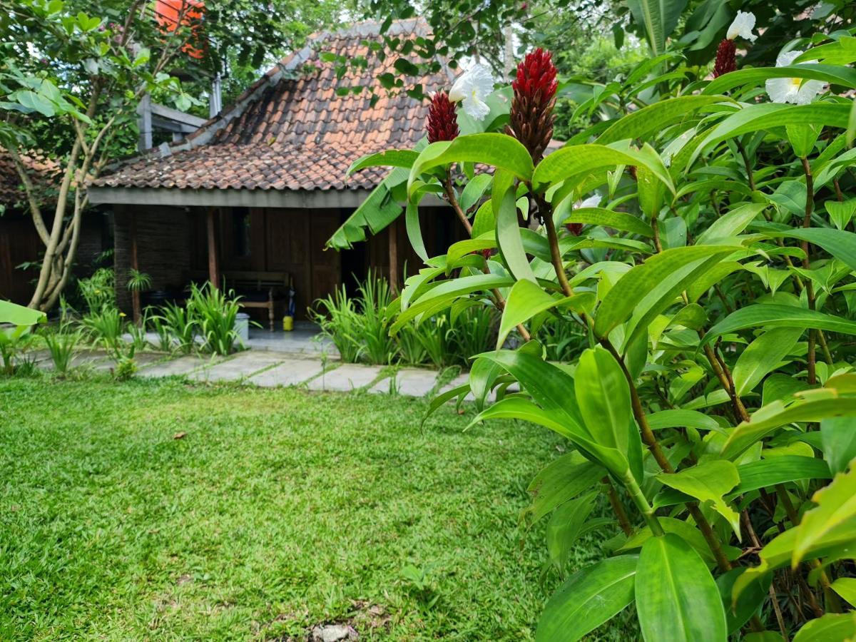 Villa Kayu ジョグジャカルタ エクステリア 写真