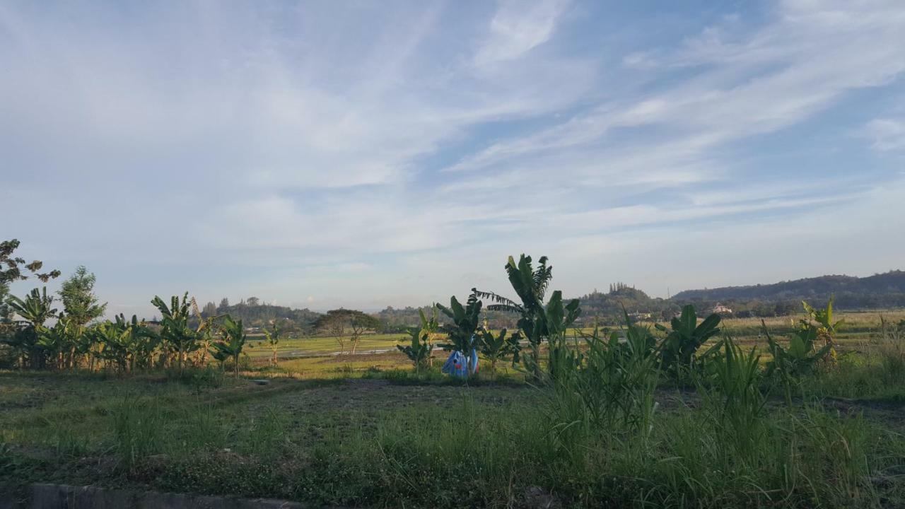 Villa Kayu ジョグジャカルタ エクステリア 写真